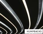 HUMPBACKS anagram