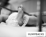 HUMPBACKS anagram