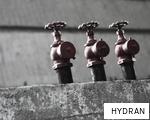HYDRAN anagram