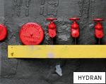 HYDRAN anagram