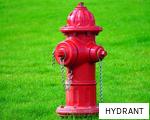 HYDRANT anagram
