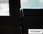 HYDRANT anagram