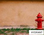 HYDRANT anagram