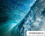 HYDROGELS anagram