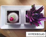 HYPERBOLAS anagram