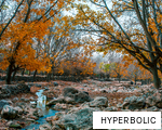 HYPERBOLIC anagram