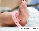 HYPOTHECATES anagram
