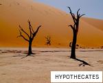HYPOTHECATES anagram