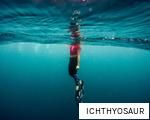 ICHTHYOSAUR anagram