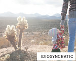IDIOSYNCRATIC anagram