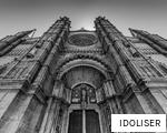IDOLISER anagram