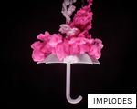 IMPLODES anagram