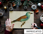 IMPRECATED anagram