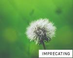 IMPRECATING anagram