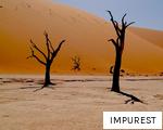 IMPUREST anagram