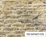 INCARNATION anagram