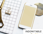 INDOMITABLE anagram