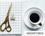 INDOMITABLE anagram