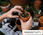 INSENSITIVITY anagram