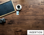 INSERTION anagram