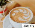 INSTINCTS anagram