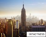 INTACTNESS anagram