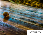 INTEGRITY anagram