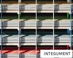 INTEGUMENT anagram