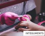 INTEGUMENTS anagram