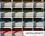 INTEGUMENTS anagram