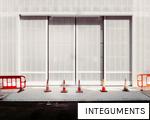 INTEGUMENTS anagram