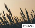 INTERLACE anagram