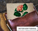 INTERVERTEBRAL anagram