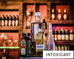INTOXICANT anagram