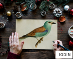 IODIN anagram