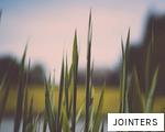 JOINTERS anagram