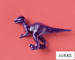 JURAS anagram
