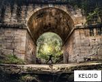KELOID anagram
