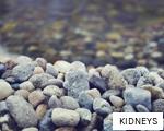 KIDNEYS anagram