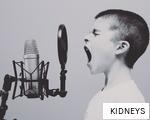 KIDNEYS anagram