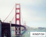 KINGFISH anagram