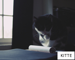 KITTE anagram