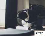 KITTE anagram