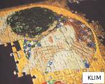 KLIM anagram