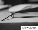 KNOWLEDGES anagram