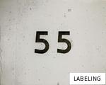 LABELING anagram