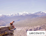 LARCENISTS anagram