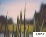 LASHES anagram