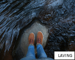 LAVING anagram