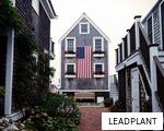 LEADPLANT anagram